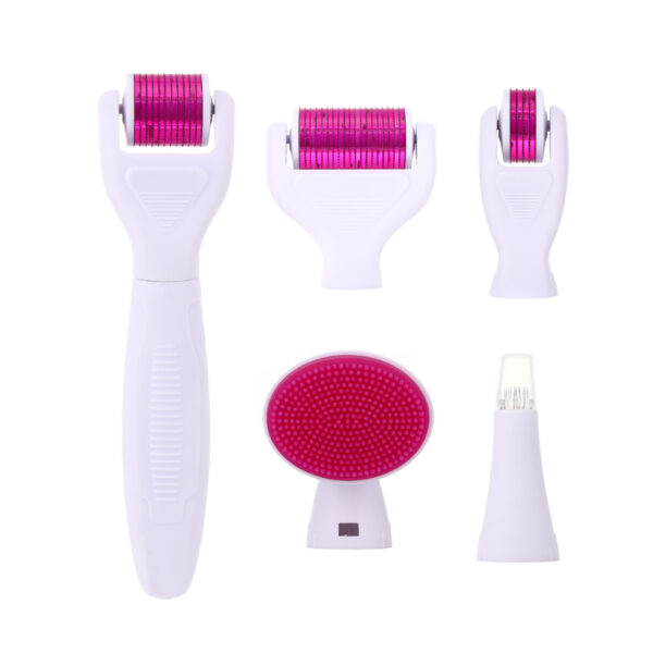 6 in 1 Derma Roller