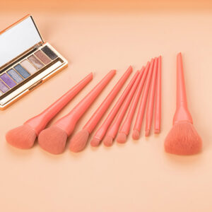 Anti-Bacterial Cosmetic Brushes