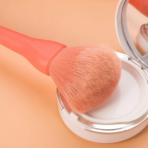 Anti-Bacterial Cosmetic Brushes